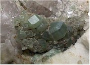 Green Apatites.jpg (11702 bytes)