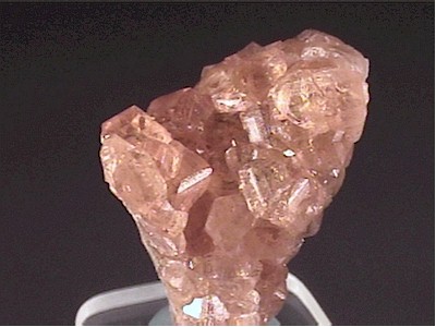 P11_3lg.jpg (33970 bytes)